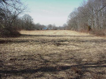 Commercial Property Back Lot